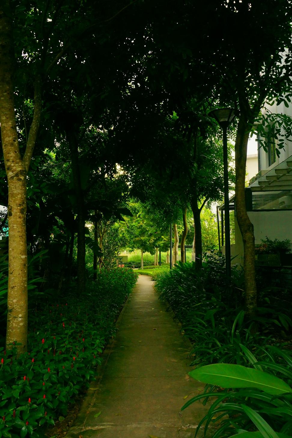 Point Grey Laneway Home