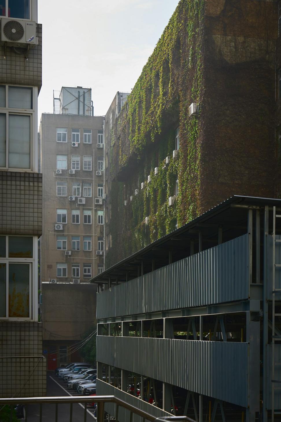 Architecture and Nature