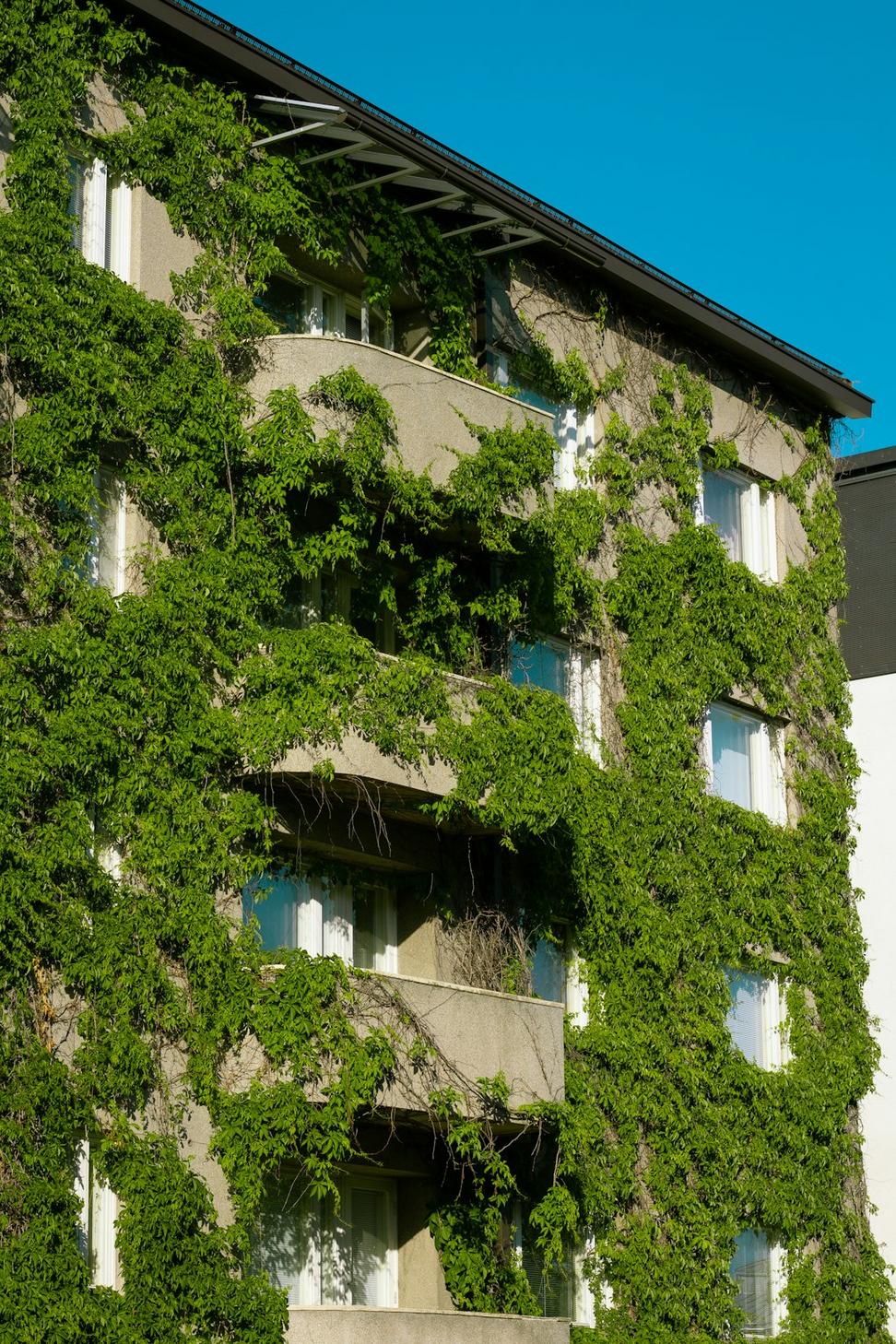 Sustainability focus