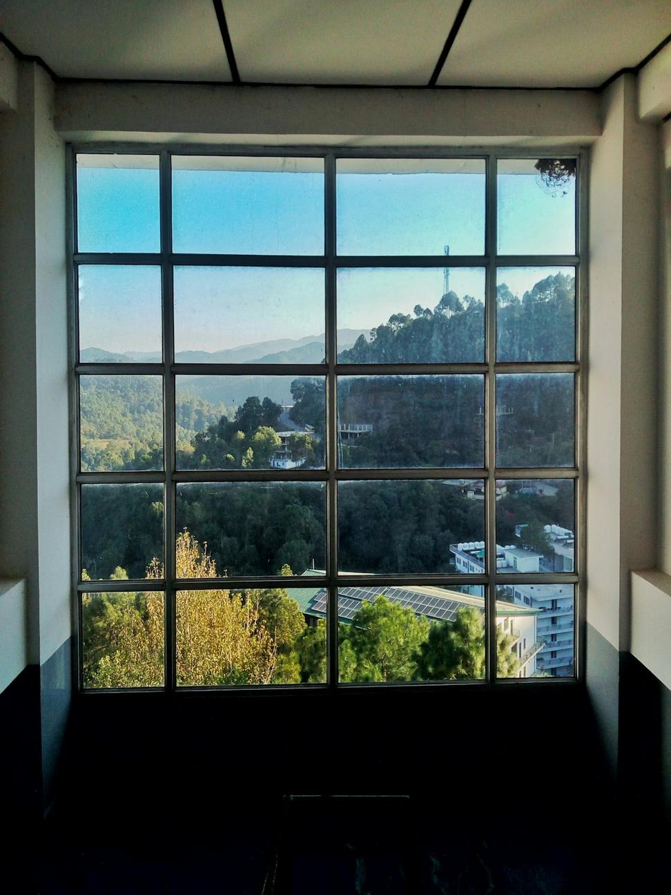Lynn Valley Views